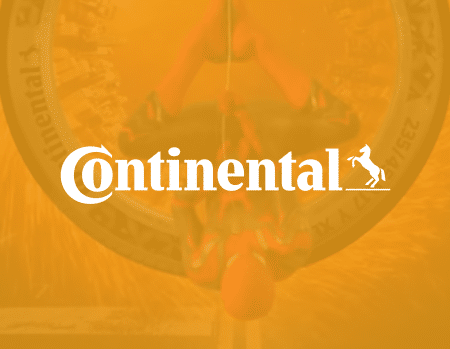 <?php the_title_attribute(); ?></noscript>