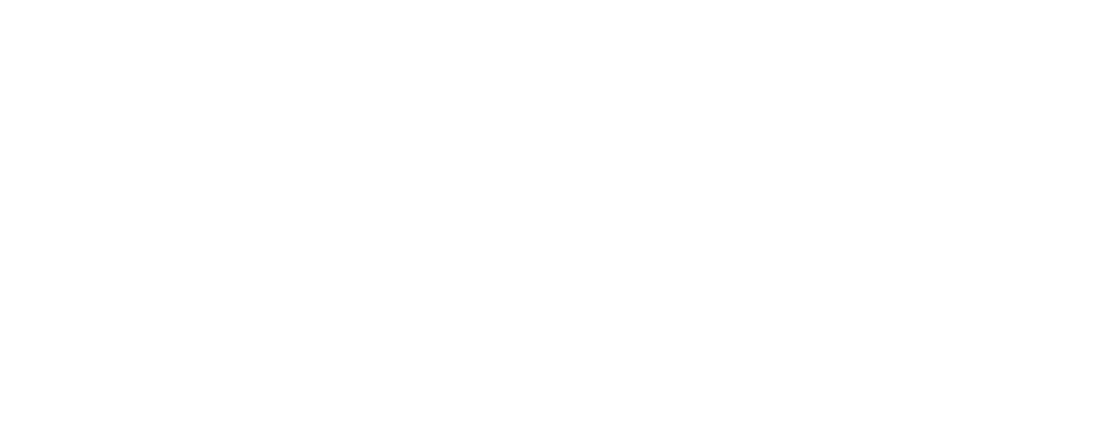 Logo Riachuelo 
