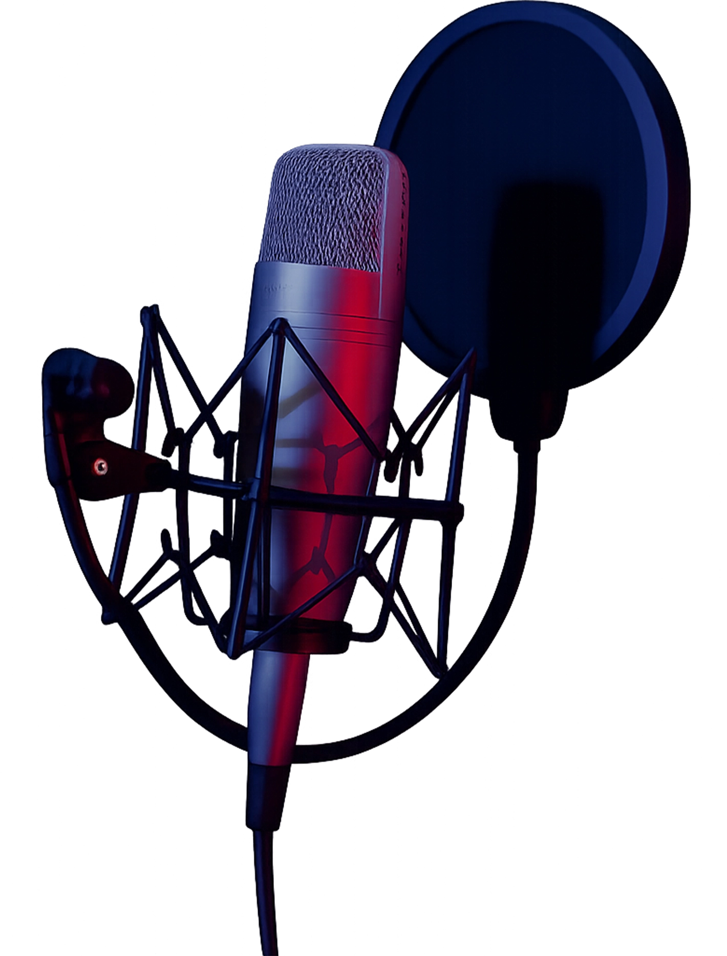 Microfone Profissional Pop Filter Estudio