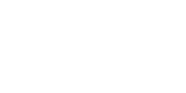 Logo Instituto Neymar 1