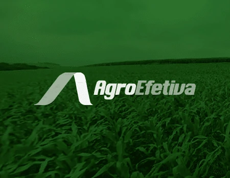 AGROEFEITVA