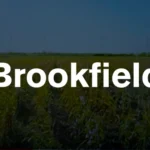 Miniatura do vídeo 360° da Brookfield, com logotipo em destaque sobre cenário de campo com turbinas eólicas ao fundo.
