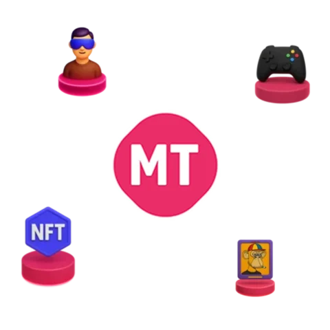 Imagem da Seção MT com Ícones Interativos